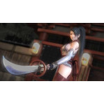 Ninja Gaiden Master Collection - Nintendo Switch