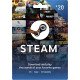 $100 Steam Digital Code 