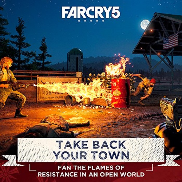 Far Cry 5 - PlayStation 4 Standard Edition - Region all