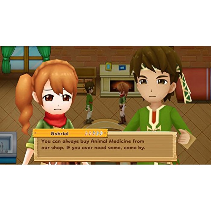 Harvest Moon Light of Hope Special Edition (Nintendo Switch)