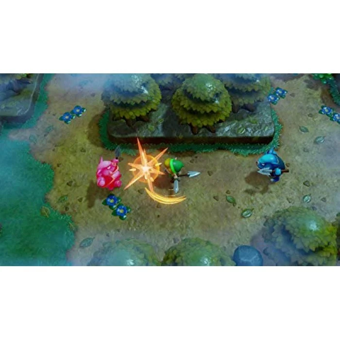 The Legend of Zelda Link s Awakening - Nintendo Switch Standard Edition