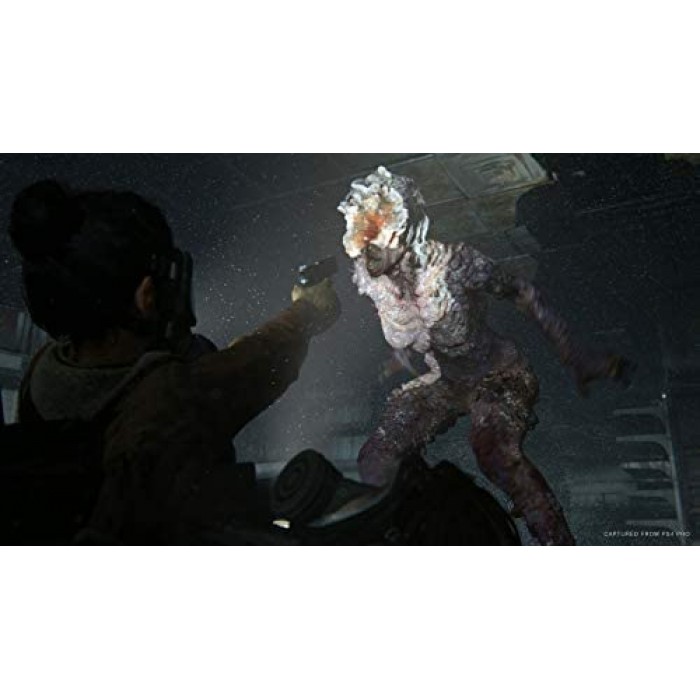 The Last of Us Part II - Middle East(PS4)