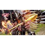 Jump Force: Deluxe Edition (Nintendo Switch)